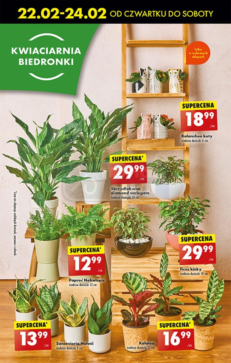 Gazetka promocyjna Biedronka do 28/02/2024 str.63