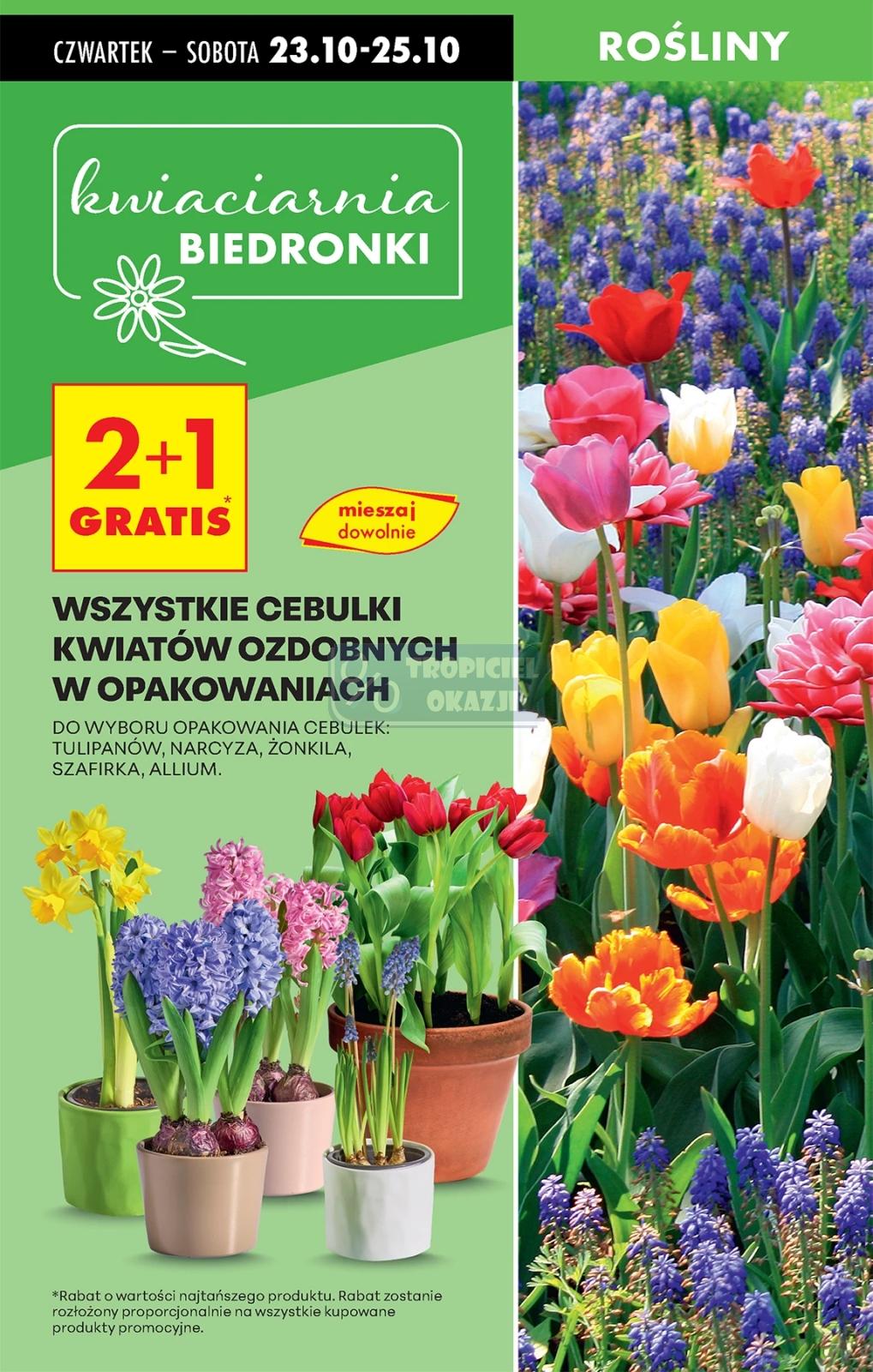 Gazetka promocyjna Biedronka do 29/10/2025 str.17
