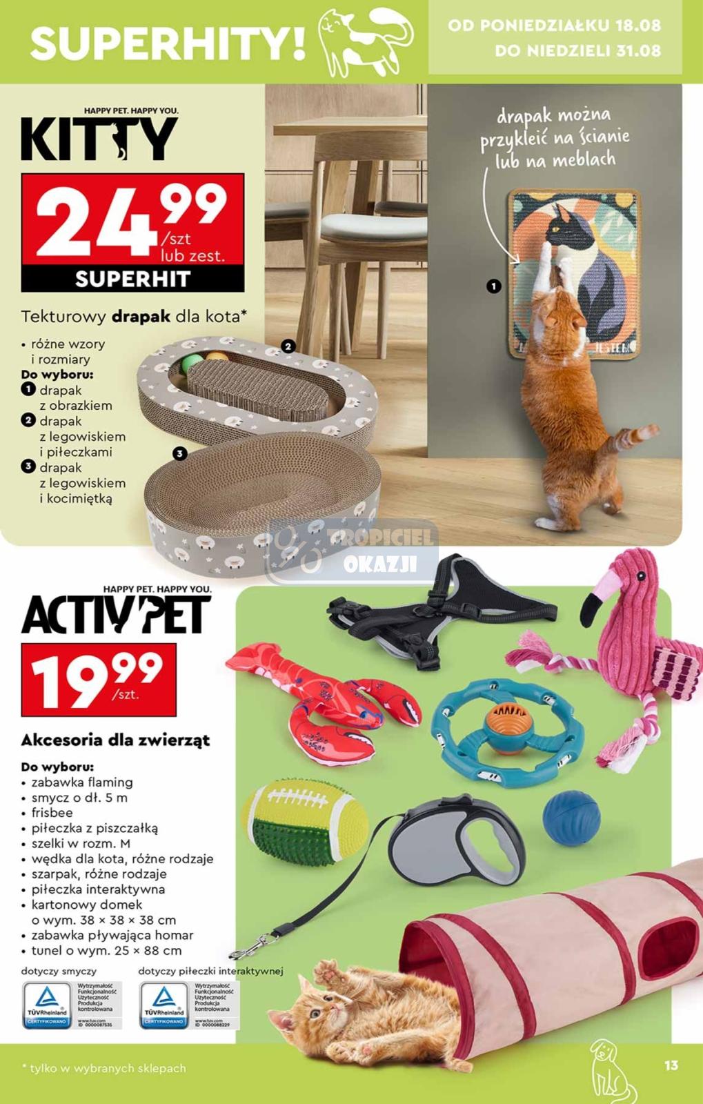 Gazetka promocyjna Biedronka do 31/08/2025 str.13