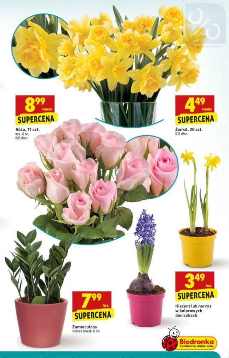 Gazetka promocyjna Biedronka do 04/02/2018 str.11