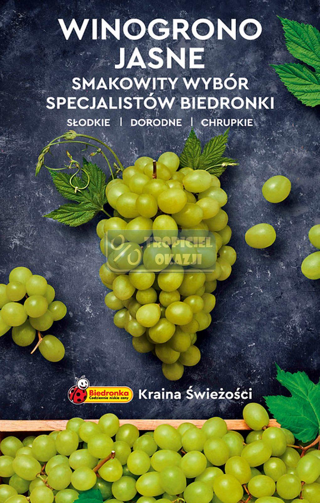 Gazetka promocyjna Biedronka do 24/08/2022 str.57