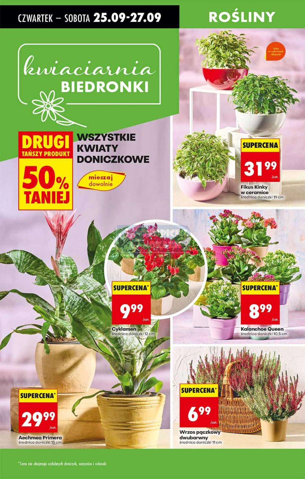 Gazetka promocyjna Biedronka do 01/10/2025 str.74