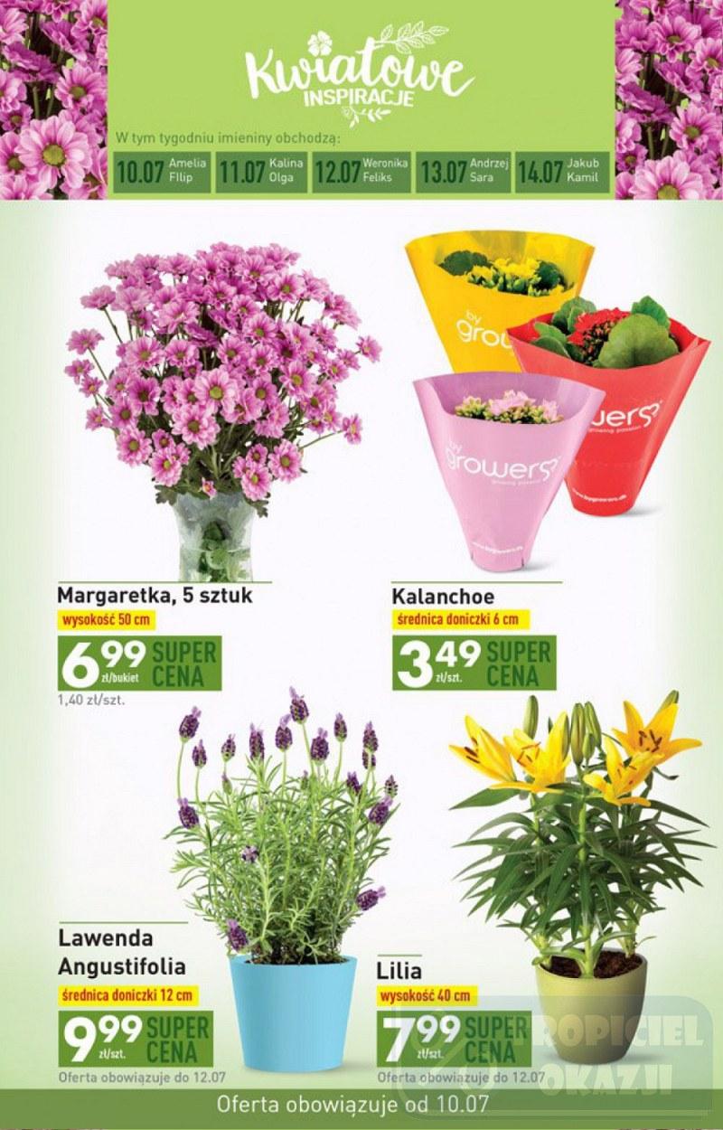 Gazetka promocyjna Biedronka do 16/07/2017 str.23