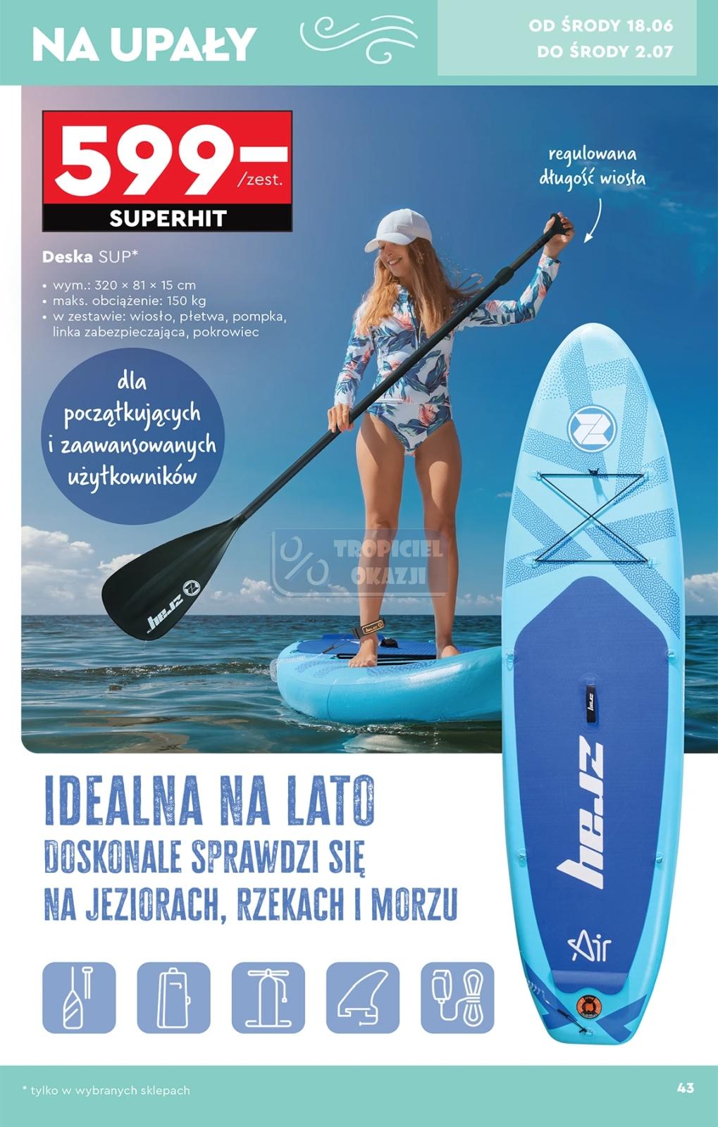 Gazetka promocyjna Biedronka do 02/07/2025 str.43