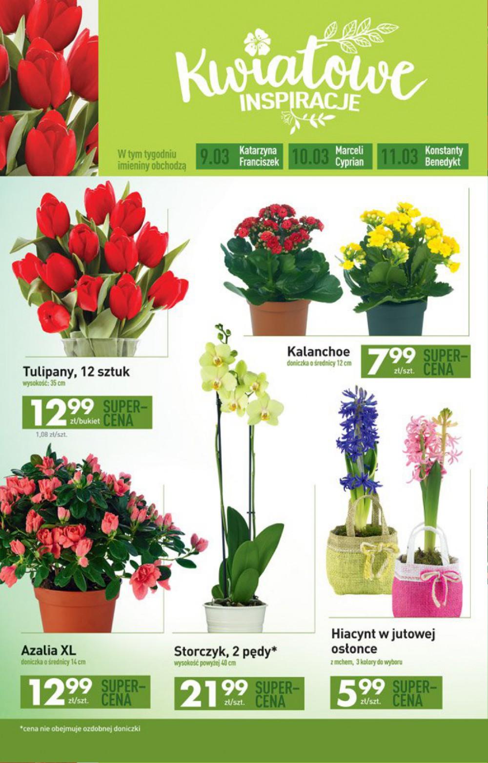 Gazetka promocyjna Biedronka do 15/03/2017 str.7