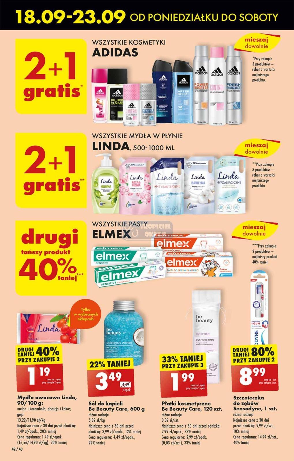 Gazetka promocyjna Biedronka do 23/09/2023 str.42