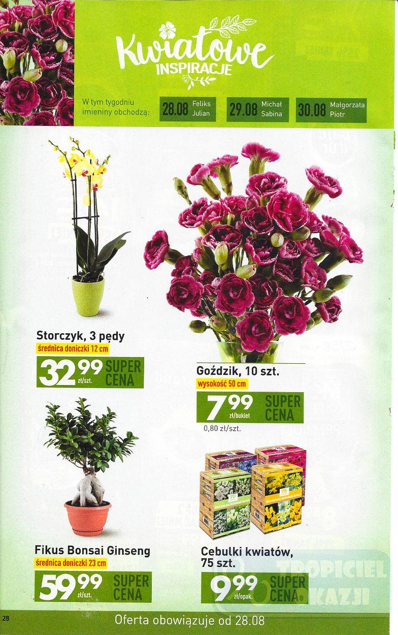 Gazetka promocyjna Biedronka do 03/09/2017 str.28
