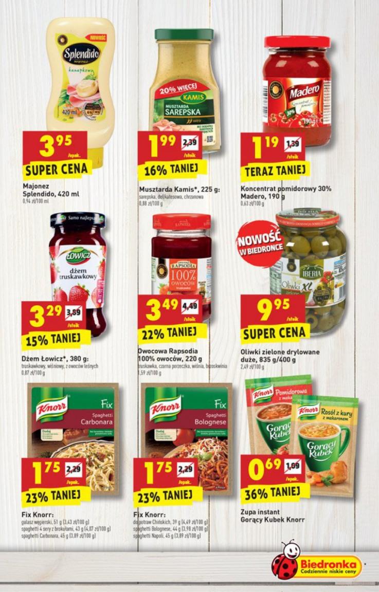 Gazetka promocyjna Biedronka do 01/02/2017 str.19