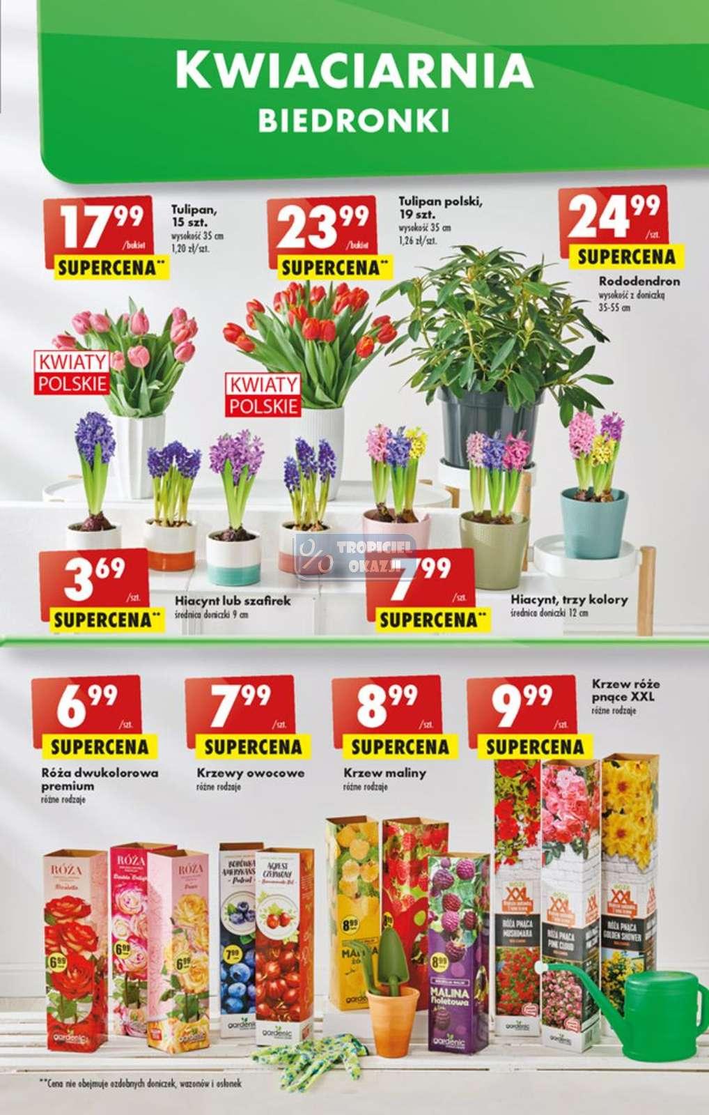 Gazetka promocyjna Biedronka do 23/03/2022 str.11