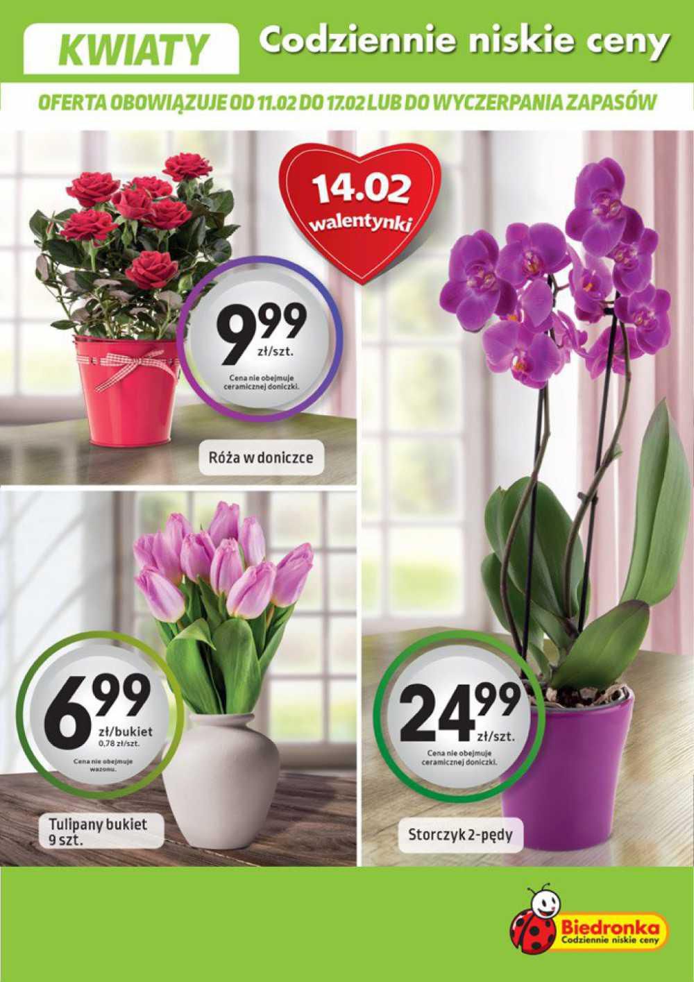 Gazetka promocyjna Biedronka do 17/02/2016 str.19