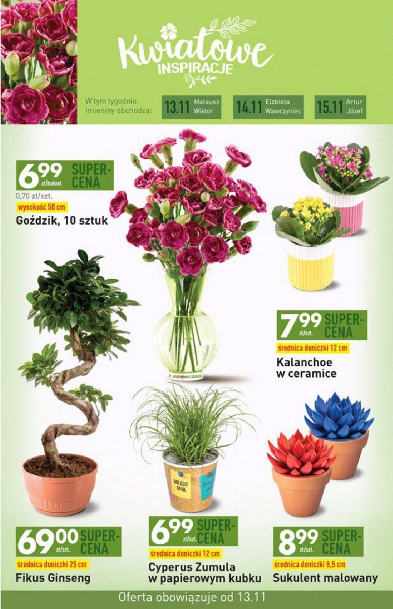 Gazetka promocyjna Biedronka do 19/11/2017 str.43