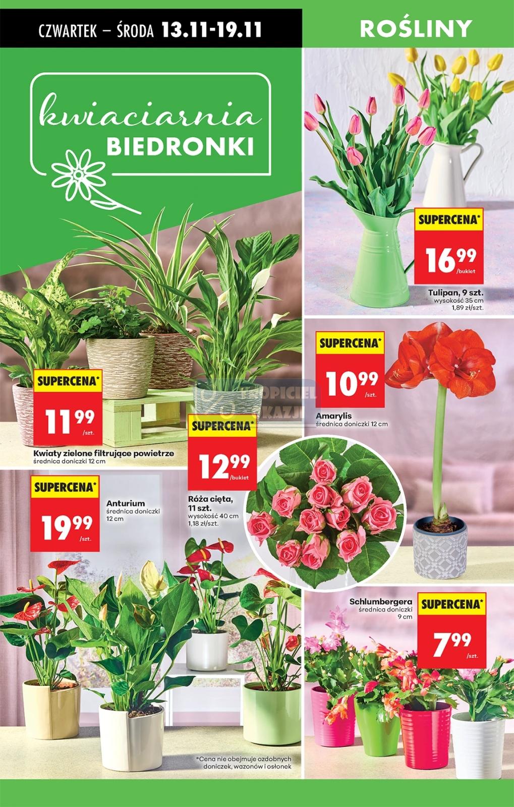 Gazetka promocyjna Biedronka do 19/11/2025 str.83