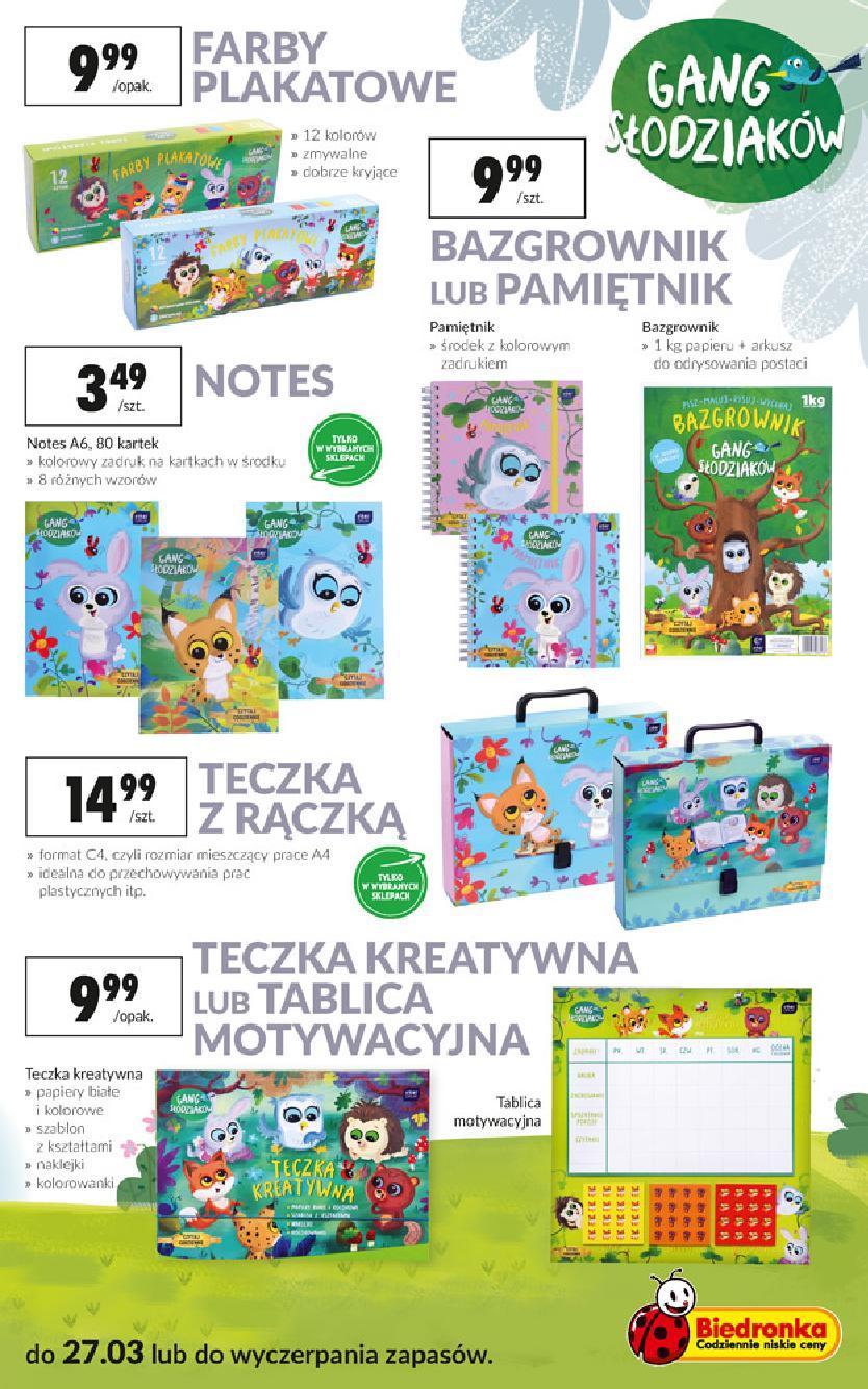 Gazetka promocyjna Biedronka do 27/03/2019 str.21