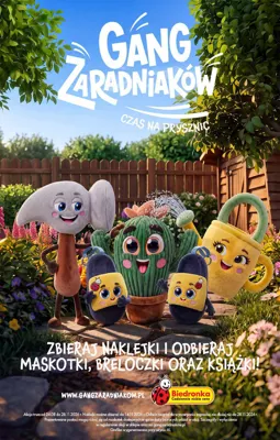 Gang Zaradiaków