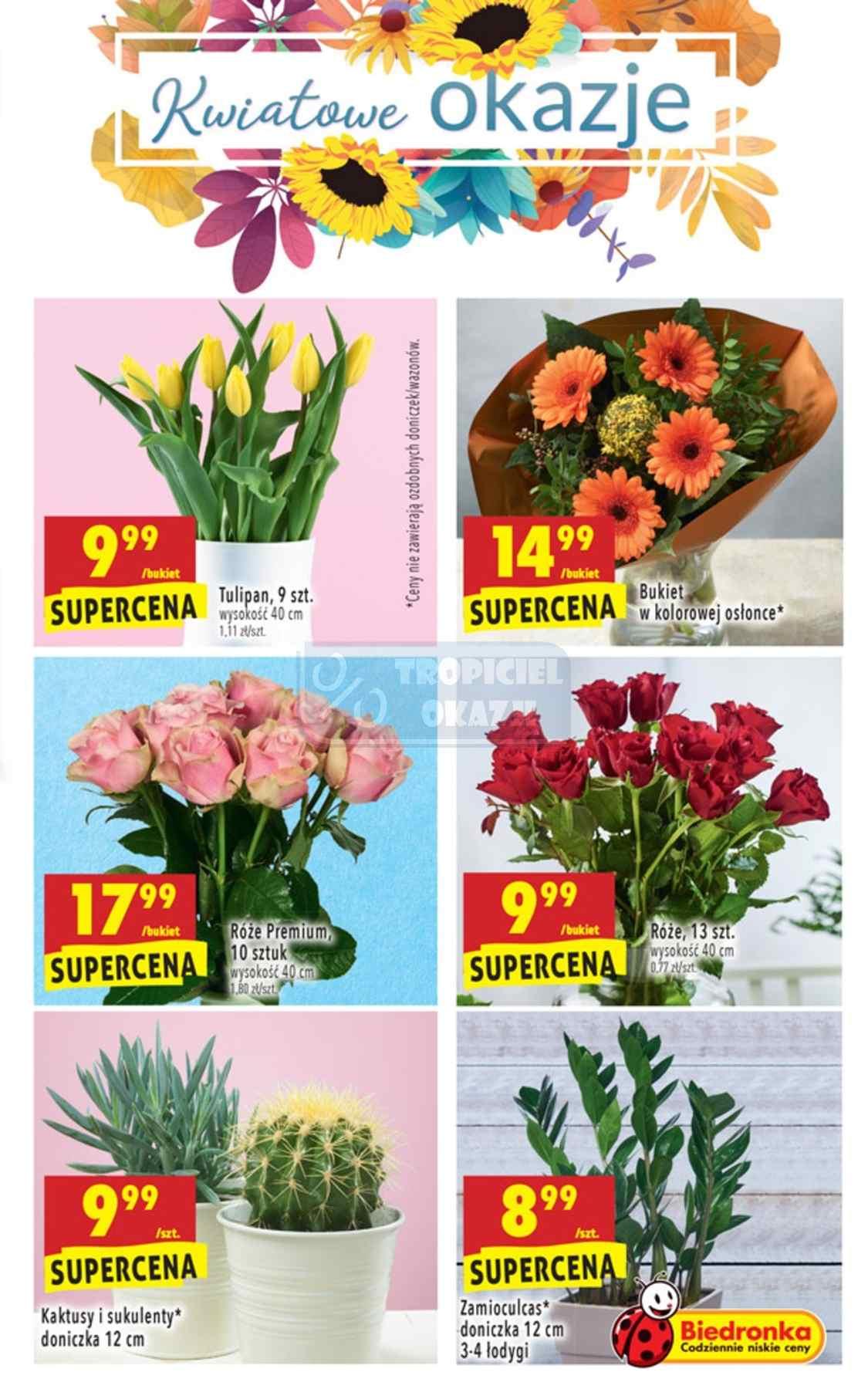 Gazetka promocyjna Biedronka do 07/11/2018 str.37