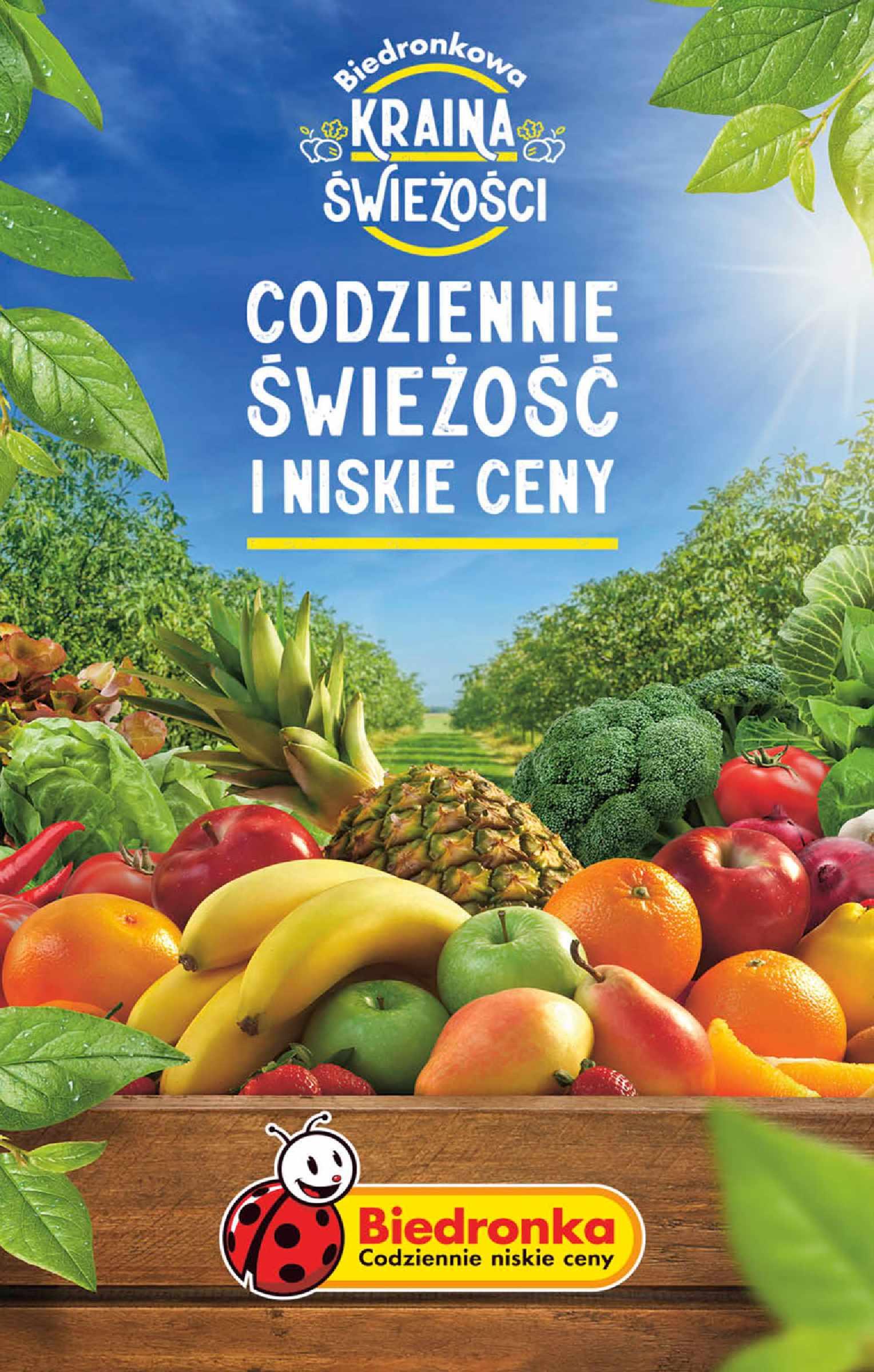 Gazetka promocyjna Biedronka do 01/07/2023 str.58