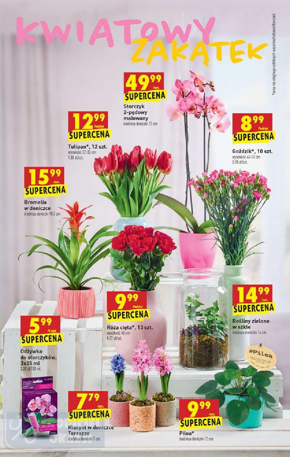 Gazetka promocyjna Biedronka do 18/01/2020 str.53