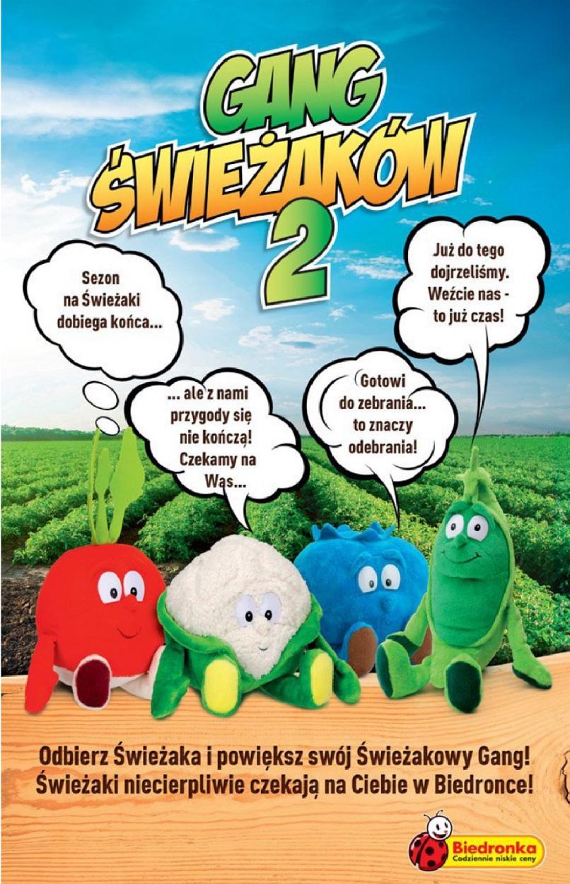 Gazetka promocyjna Biedronka do 19/11/2017 str.9
