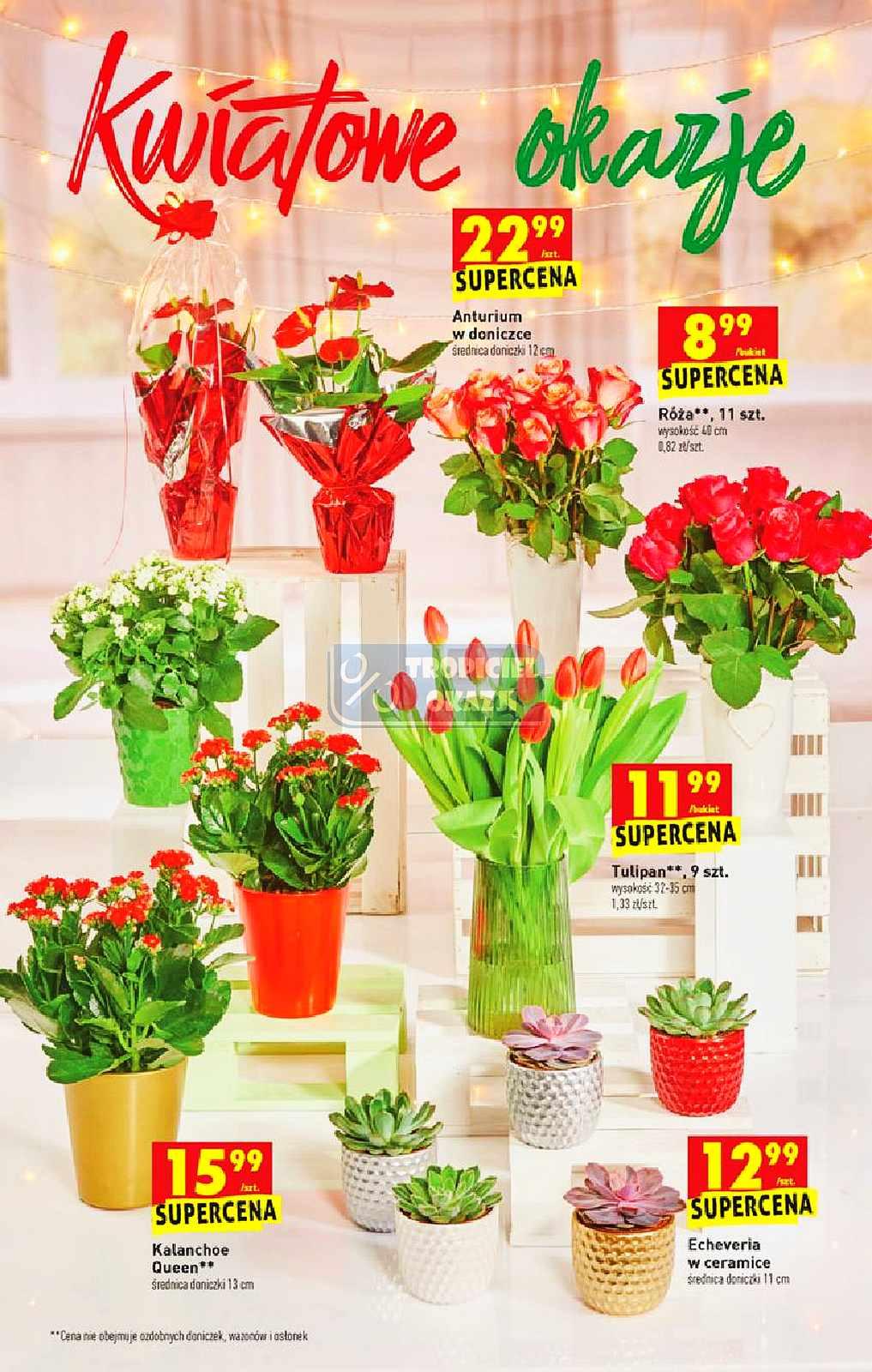 Gazetka promocyjna Biedronka do 27/12/2020 str.63