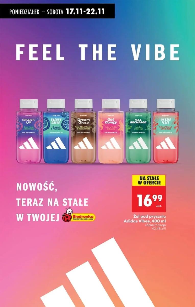 Gazetka promocyjna Biedronka do 22/11/2025 str.85