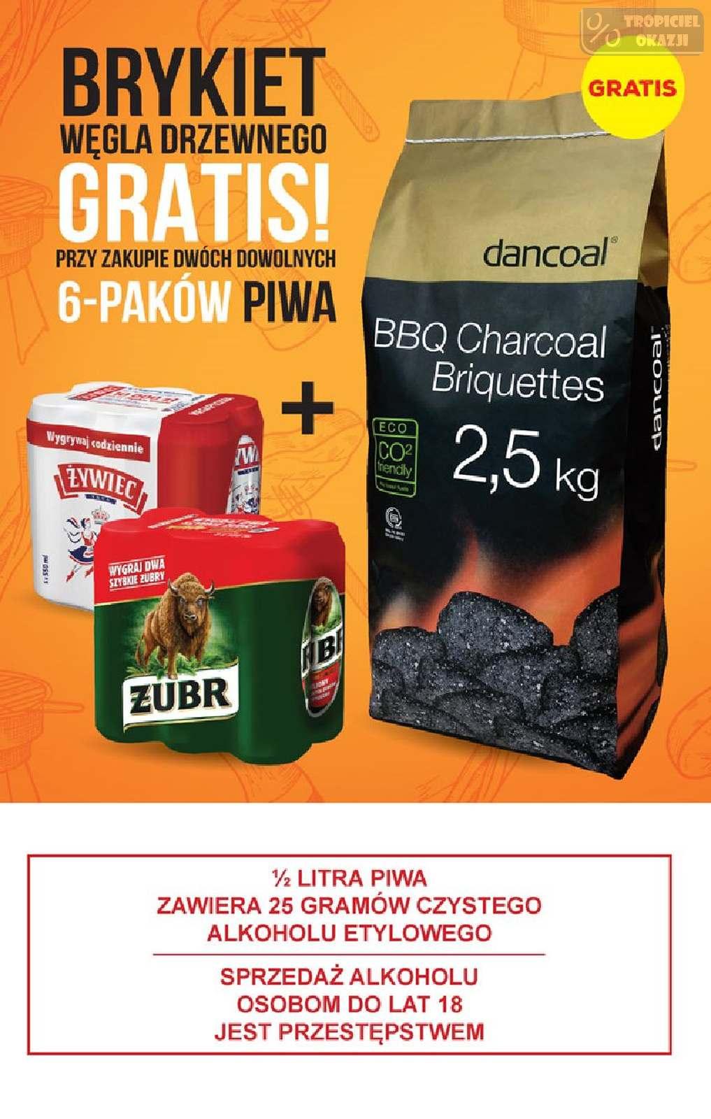 Gazetka promocyjna Biedronka do 22/06/2019 str.53