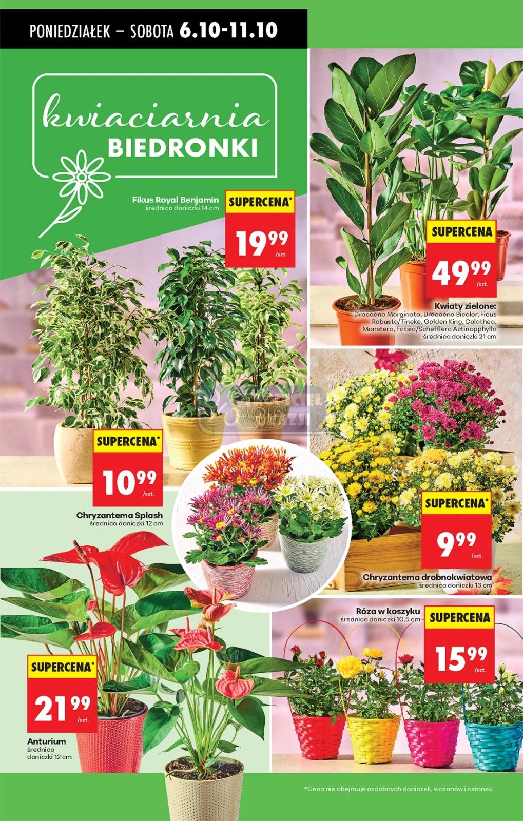 Gazetka promocyjna Biedronka do 11/10/2025 str.27