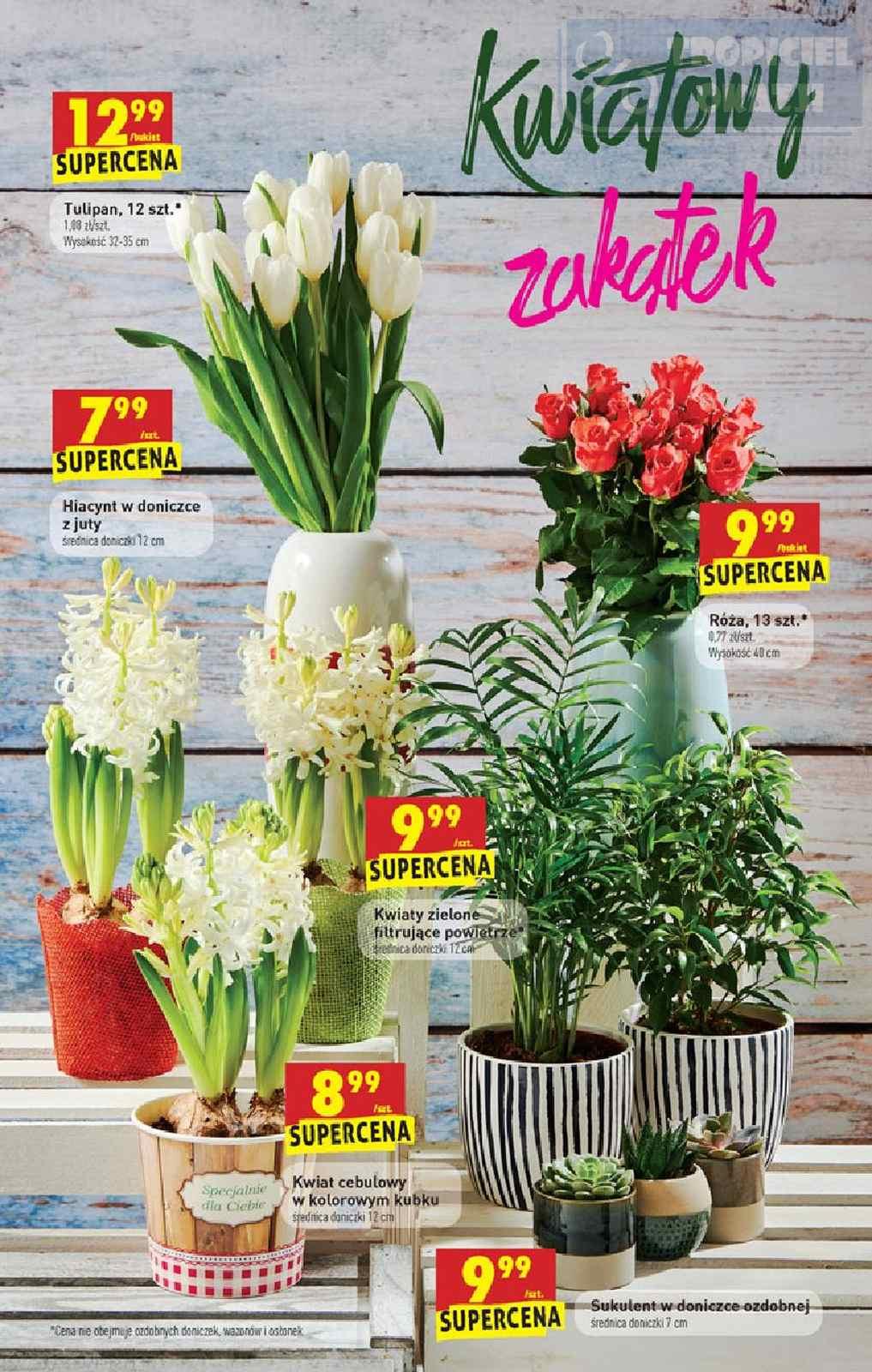 Gazetka promocyjna Biedronka do 11/01/2020 str.56