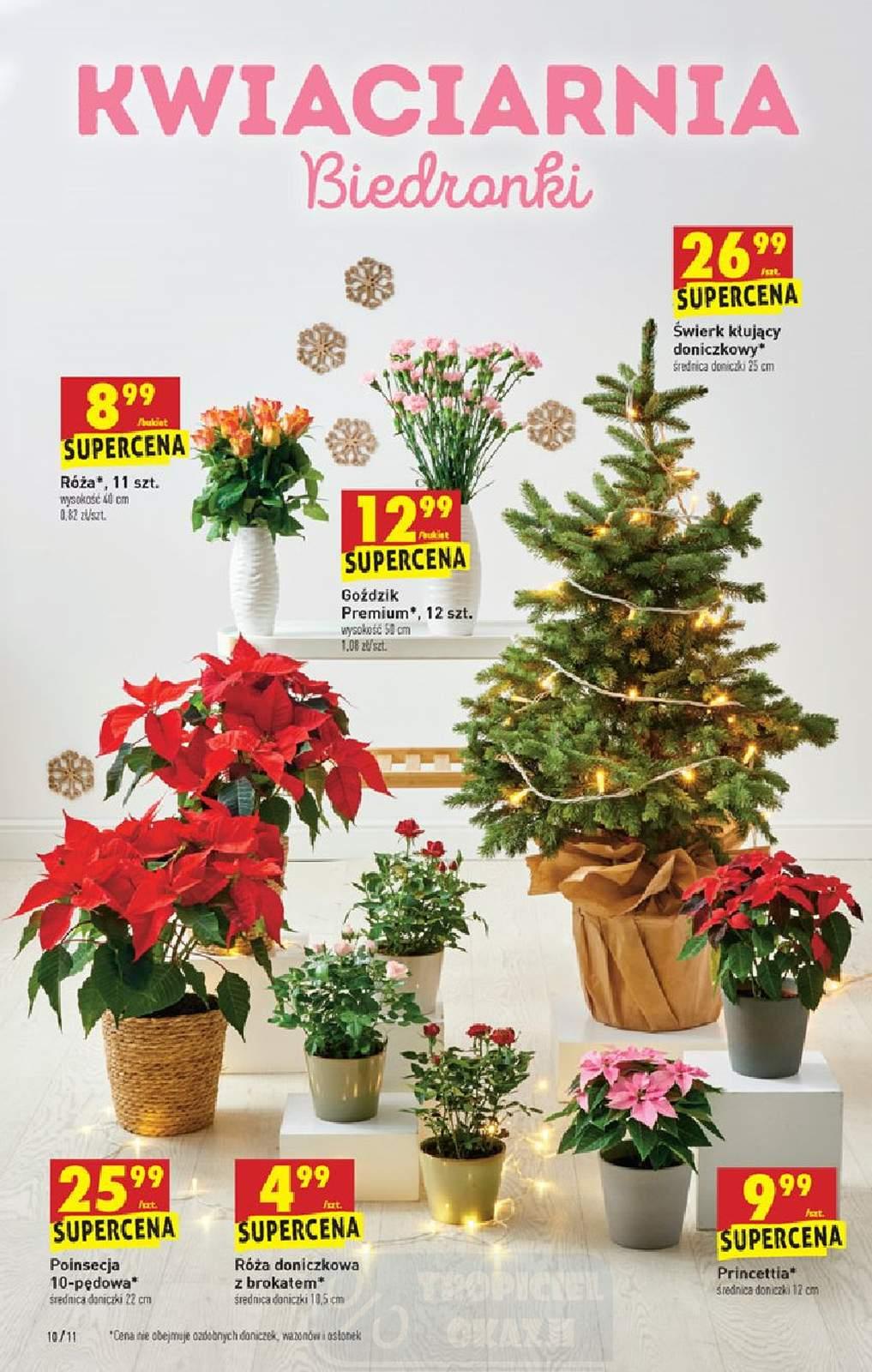 Gazetka promocyjna Biedronka do 15/12/2021 str.10