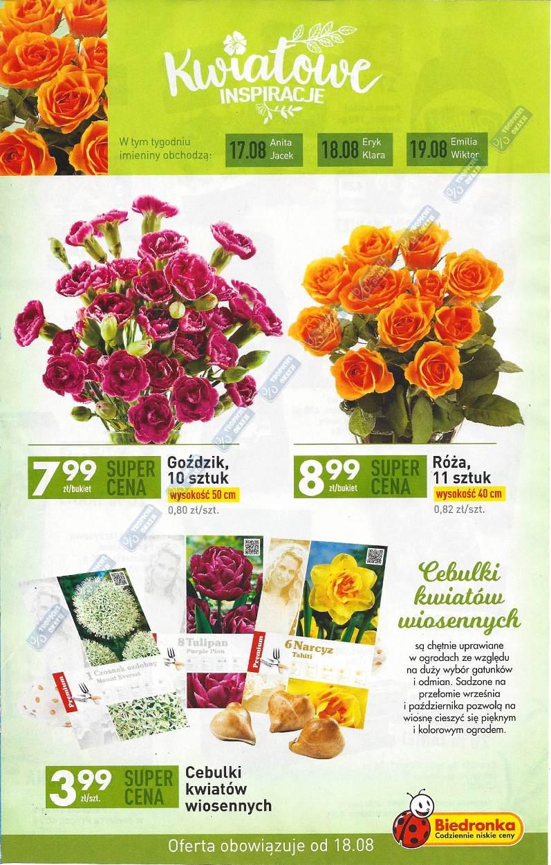 Gazetka promocyjna Biedronka do 23/08/2017 str.17