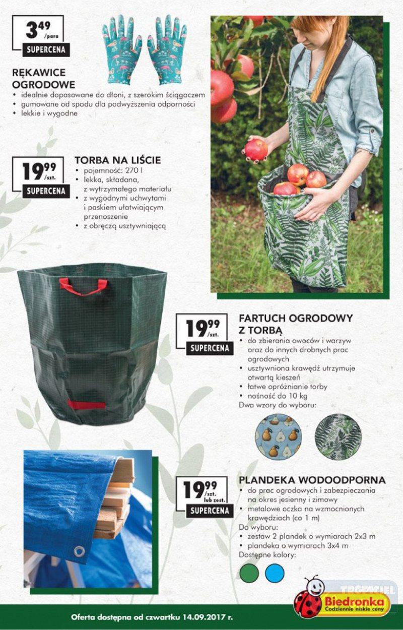 Gazetka promocyjna Biedronka do 24/09/2017 str.13