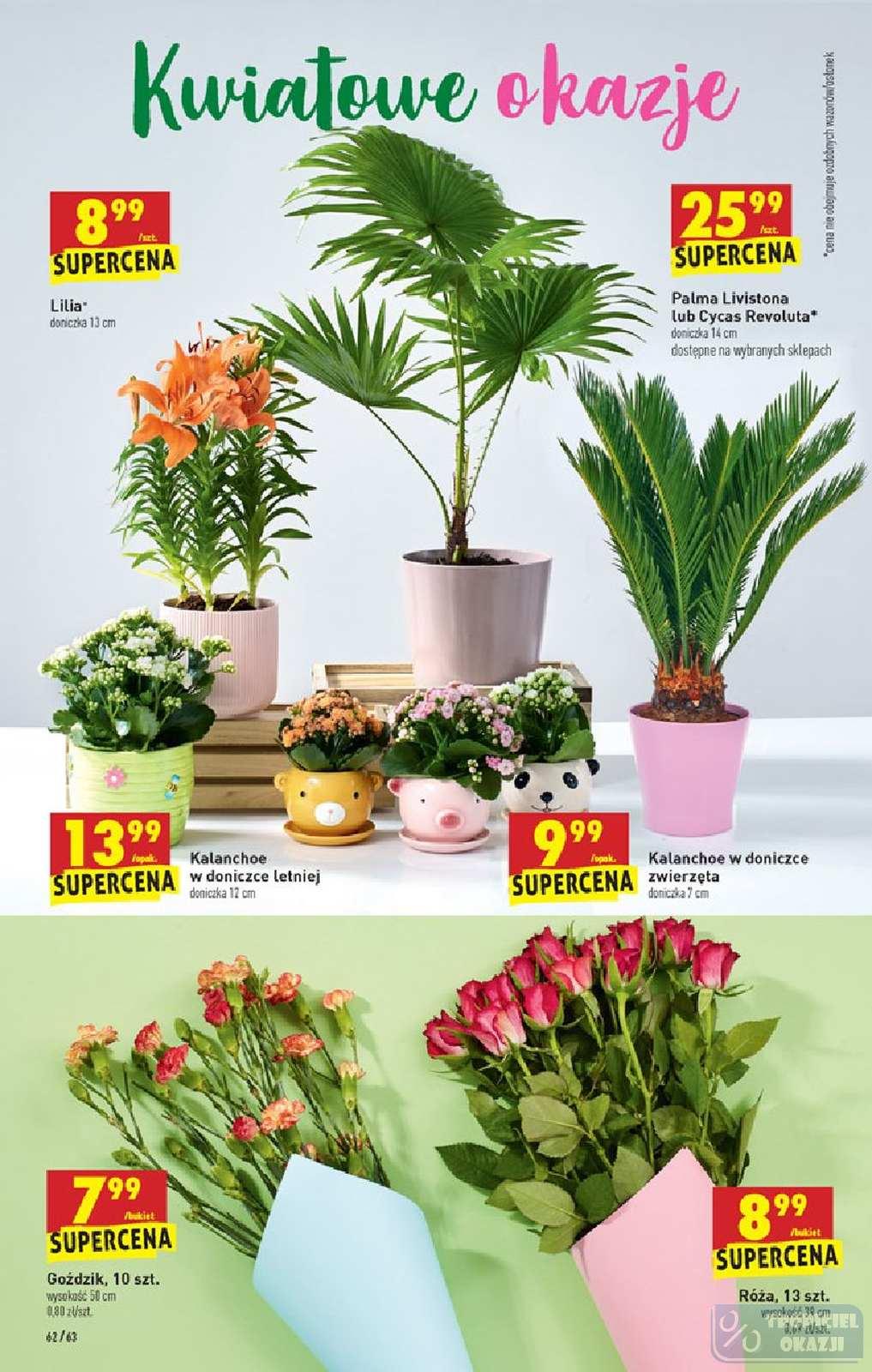 Gazetka promocyjna Biedronka do 08/06/2019 str.62
