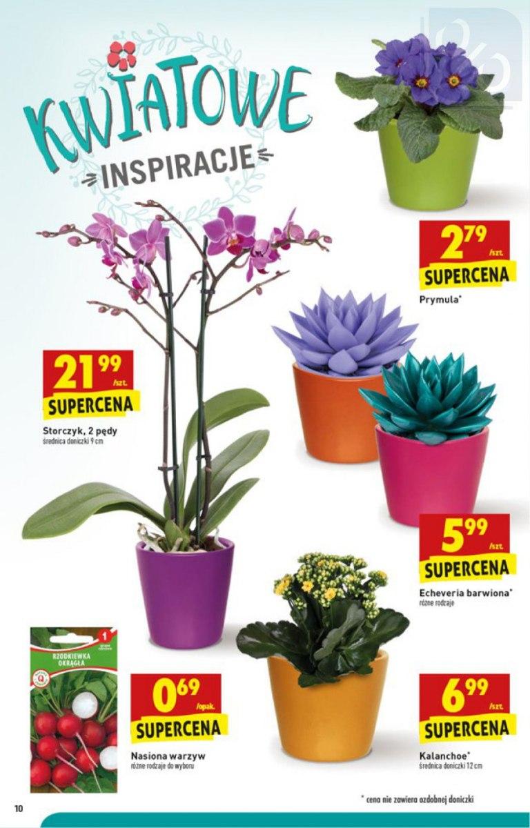 Gazetka promocyjna Biedronka do 04/02/2018 str.10
