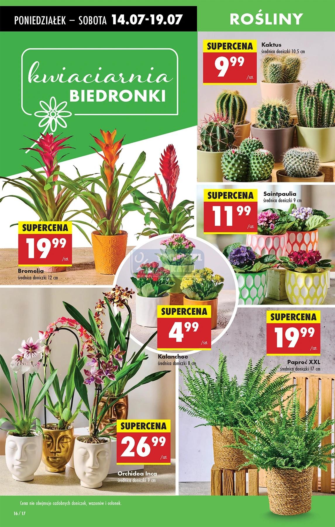 Gazetka promocyjna Biedronka do 19/07/2025 str.18