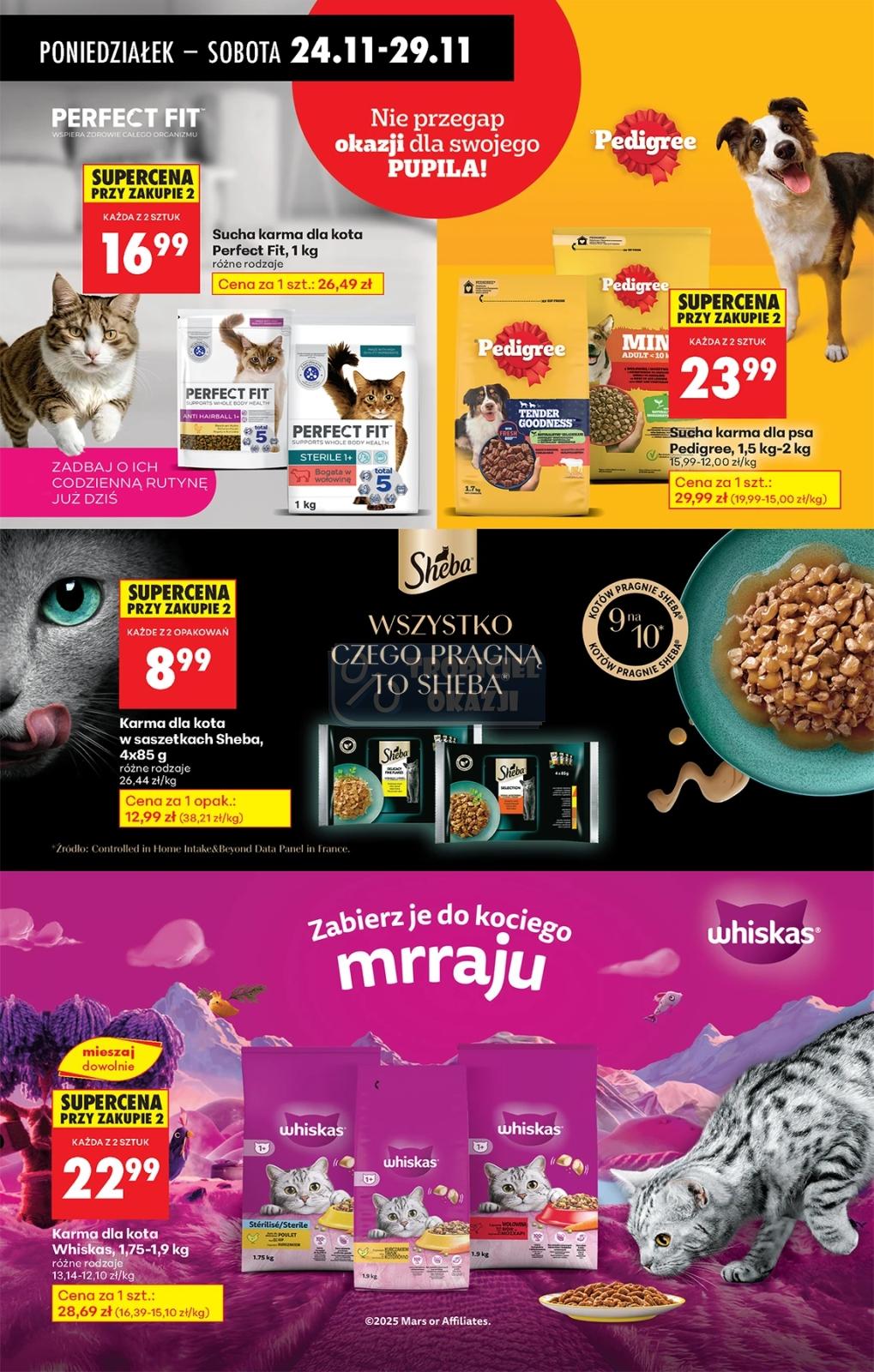 Gazetka promocyjna Biedronka do 29/11/2025 str.81