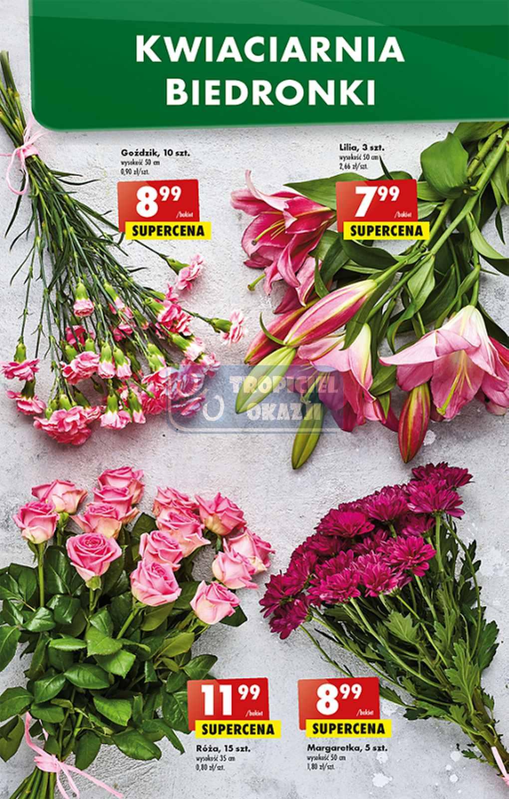 Gazetka promocyjna Biedronka do 01/10/2022 str.49