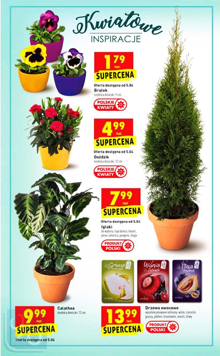 Gazetka promocyjna Biedronka do 07/04/2018 str.58