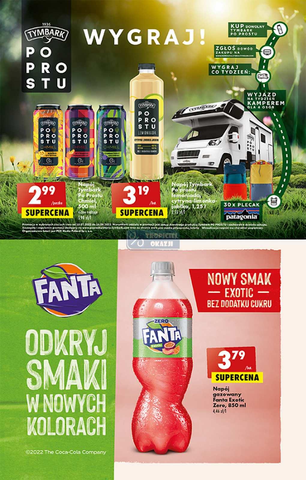 Gazetka promocyjna Biedronka do 20/07/2022 str.41