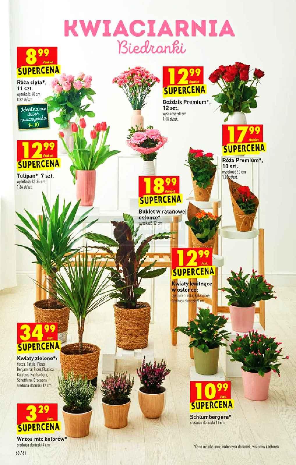 Gazetka promocyjna Biedronka do 20/10/2021 str.60