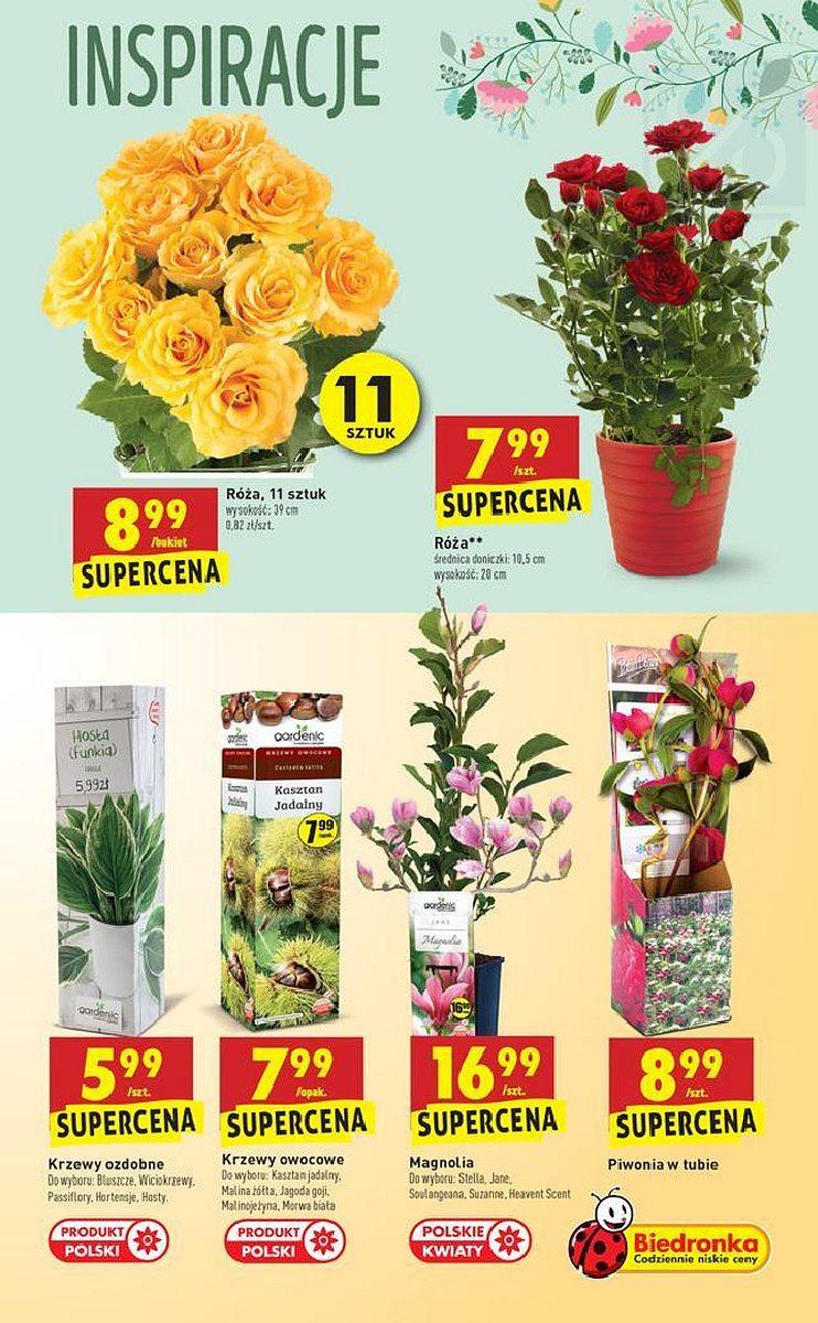 Gazetka promocyjna Biedronka do 29/04/2018 str.35