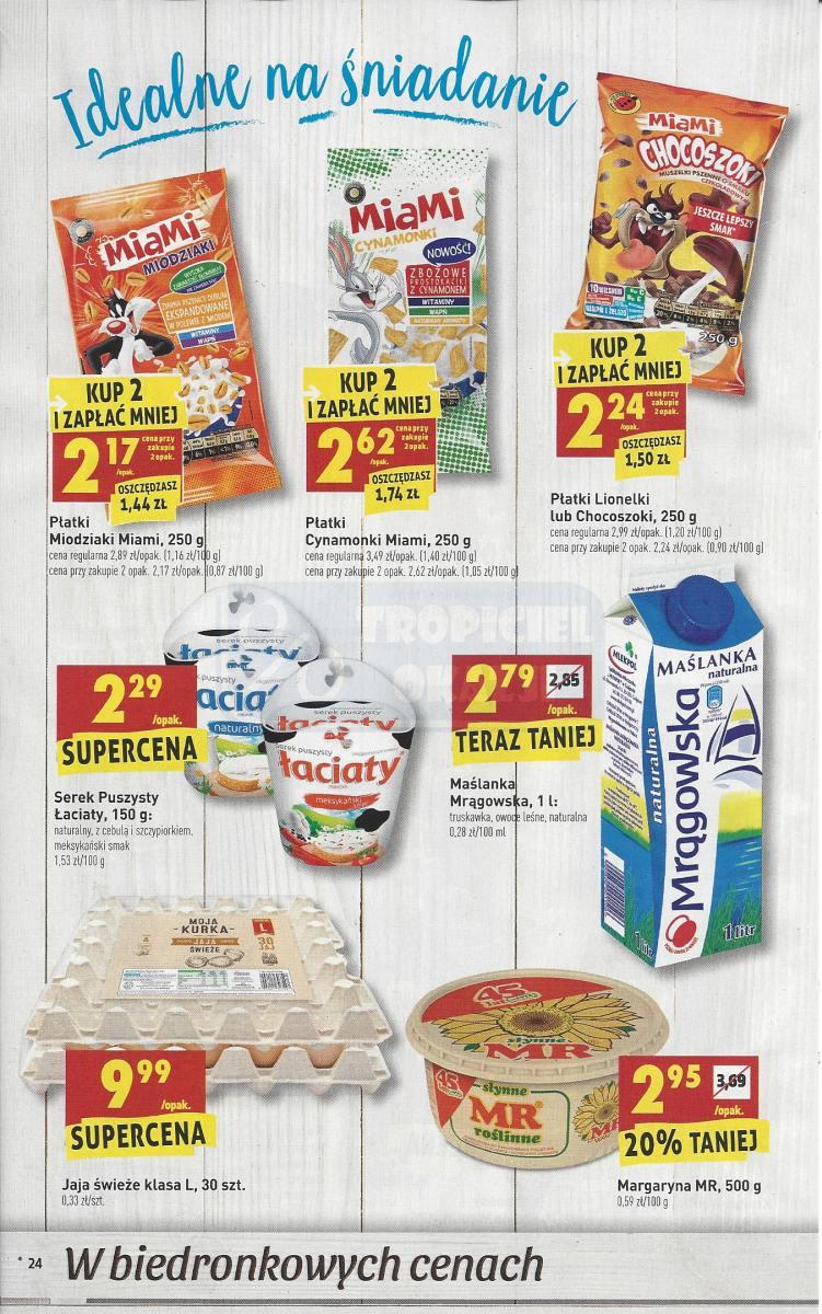 Gazetka promocyjna Biedronka do 29/03/2017 str.24