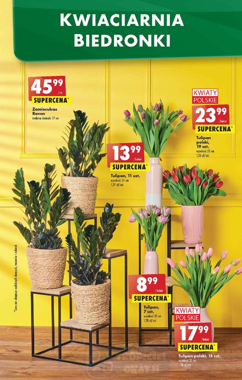 Gazetka promocyjna Biedronka do 27/04/2022 str.55