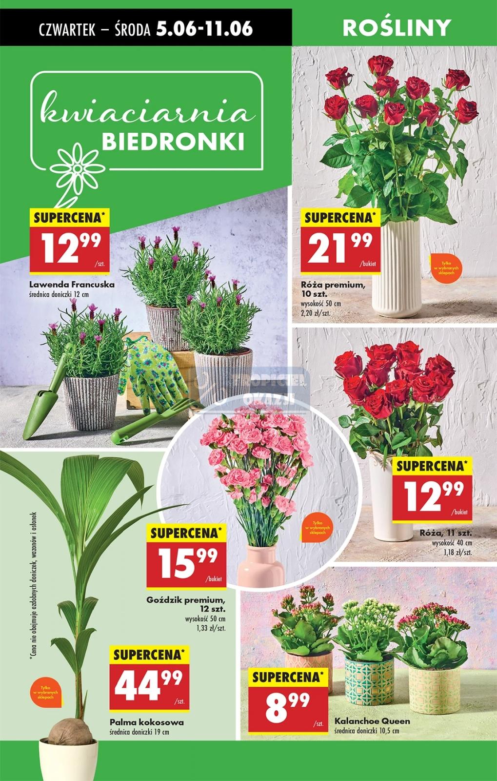 Gazetka promocyjna Biedronka do 11/06/2025 str.65