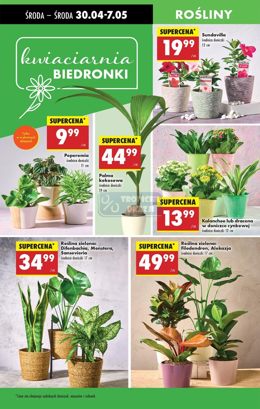 Gazetka promocyjna Biedronka do 06/05/2025 str.31