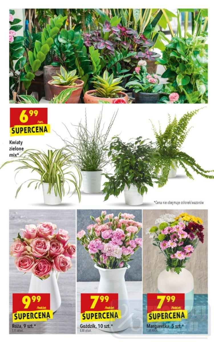 Gazetka promocyjna Biedronka do 13/10/2018 str.53