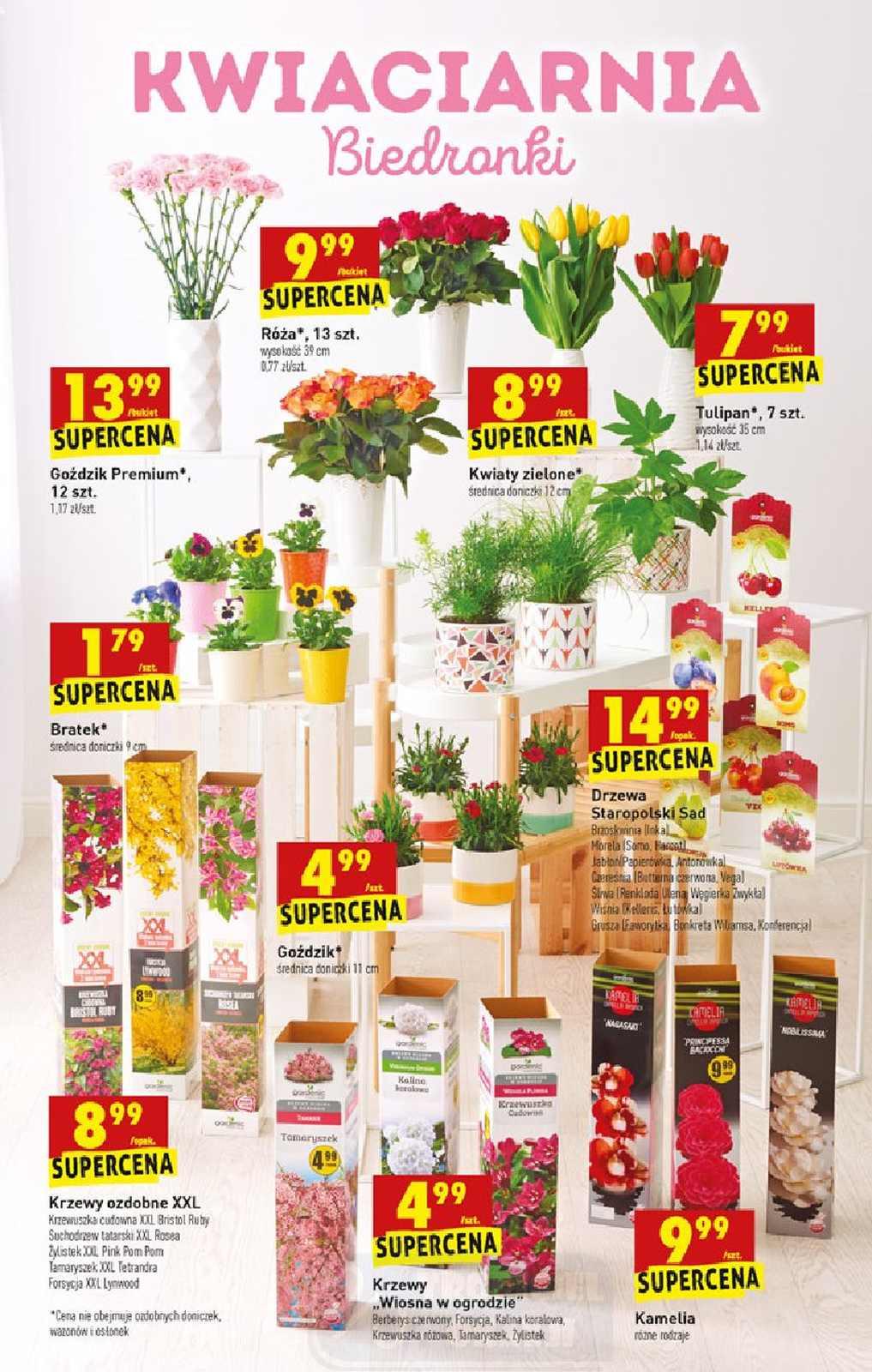 Gazetka promocyjna Biedronka do 14/04/2021 str.45