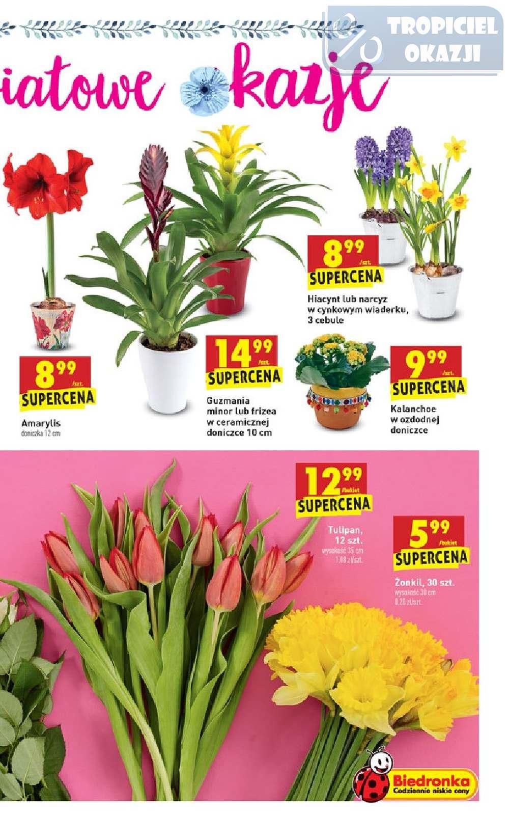Gazetka promocyjna Biedronka do 03/03/2019 str.63