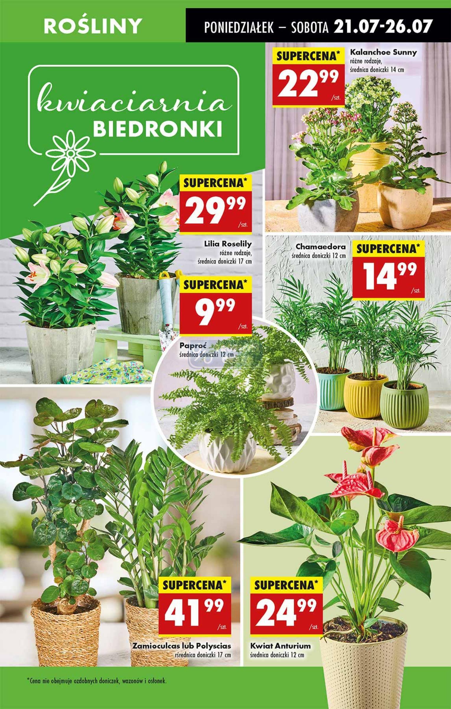 Gazetka promocyjna Biedronka do 26/07/2025 str.55