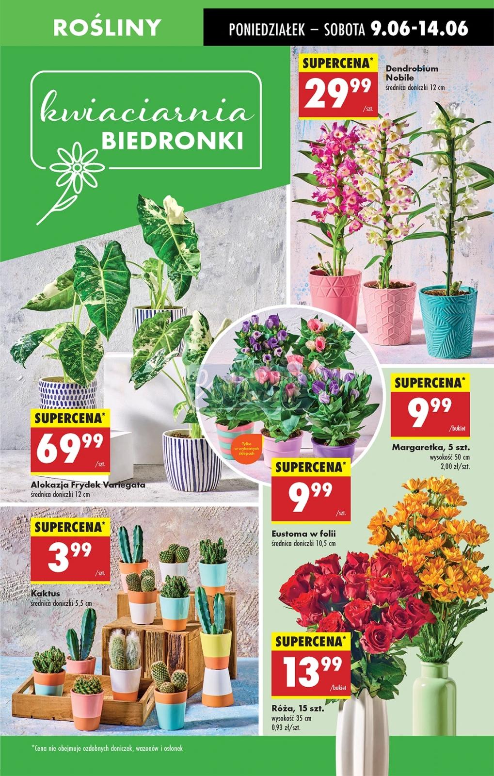 Gazetka promocyjna Biedronka do 14/06/2025 str.19
