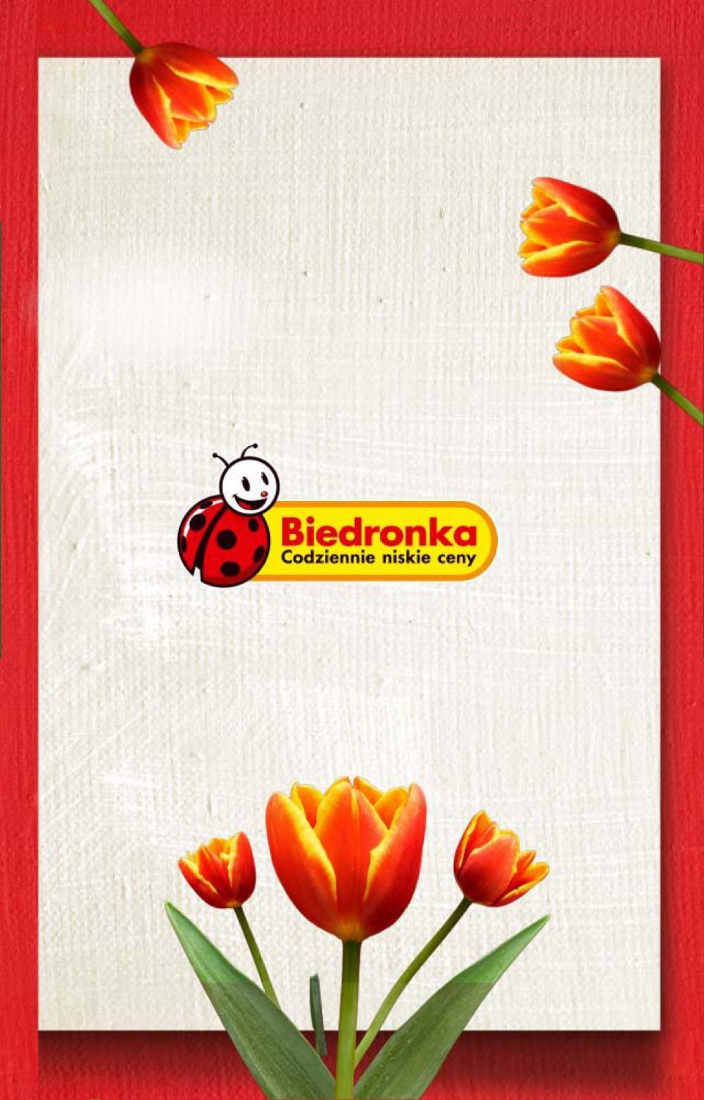Gazetka promocyjna Biedronka do 29/05/2017 str.14