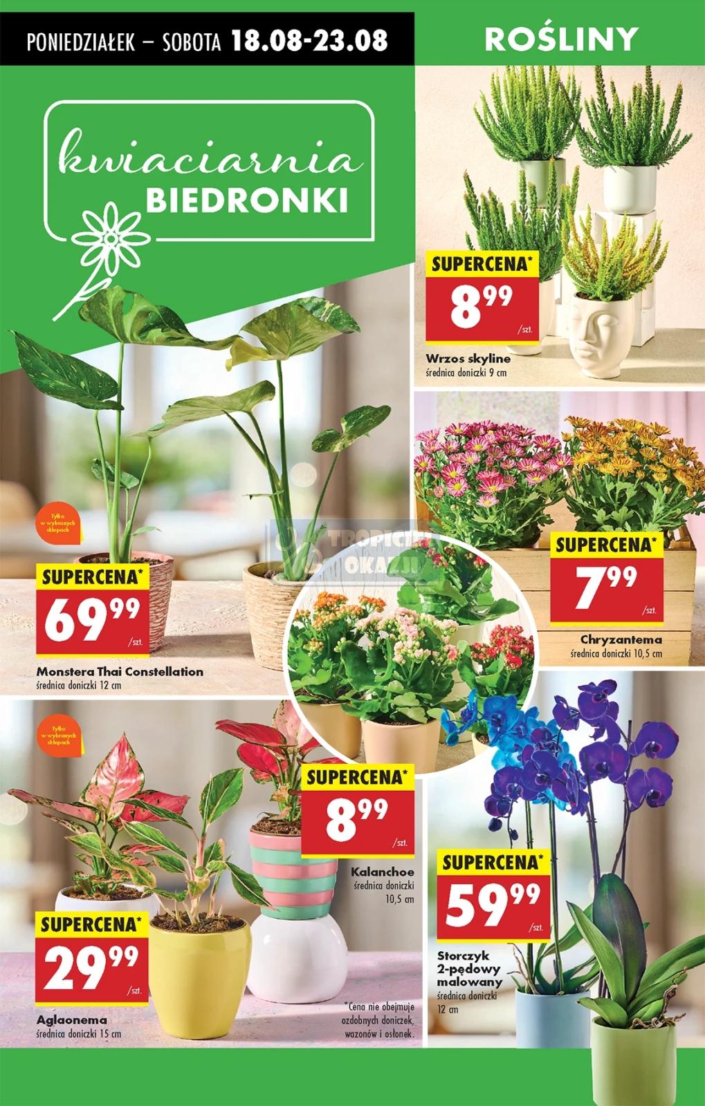 Gazetka promocyjna Biedronka do 23/08/2025 str.69